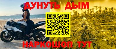 стафф Ставрополь