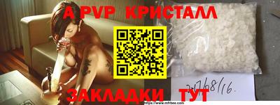 стафф Ставрополь