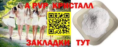 стафф Ставрополь